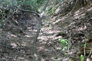 720 Green Acre Dr, Dale, TX 78616 - Photo 21