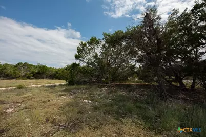 865 Rutherford, Fischer, TX 78623 - Photo 11