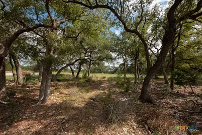 865 Rutherford, Fischer, TX 78623 - Photo 7