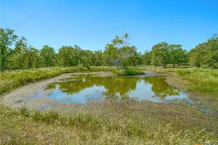 294 Lois Ln, Paige, TX 78659 - Photo 33