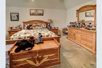 294 Lois Lane, Paige, TX 78659 - Photo 19