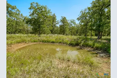 294 Lois Lane, Paige, TX 78659 - Photo 35