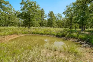 294 Lois Ln, Paige, TX 78659 - Photo 35