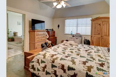 294 Lois Lane, Paige, TX 78659 - Photo 21