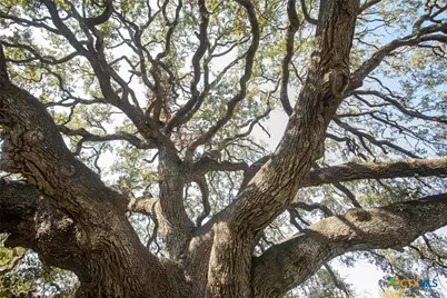 2209 Mockingbird Lane, Temple, TX 76502 - Photo 43