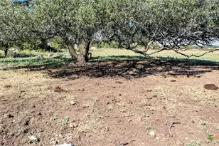 351 Co Rd 210, Liberty Hill, TX 78642 - Photo 5