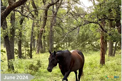 730 E US Hwy 84, Goldthwaite, TX 76844 - Photo 27