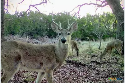 730 E US Hwy 84, Goldthwaite, TX 76844 - Photo 29