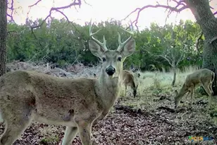 730 E US Hwy 84, Goldthwaite, TX 76844 - Photo 29