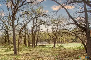 730 E US Hwy 84, Goldthwaite, TX 76844 - Photo 7