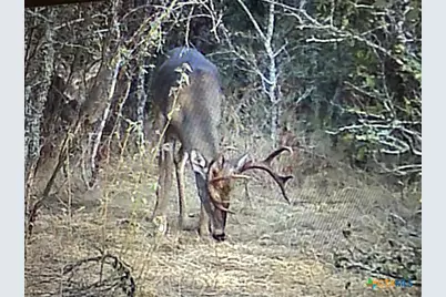 13004 Fm 3353, Kingsbury, TX 78638 - Photo 17