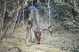 13004 Fm 3353, Kingsbury, TX 78638 - Photo 17