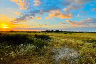 Tbd Fm 530, Hallettsville, TX 77964 - Photo 3