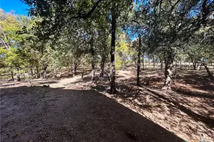 295 Goetz Rd, Cameron, TX 76520 - Photo 29