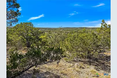 2900 Rocky Ridge Loop, Canyon Lake, TX 78133 - Photo 7