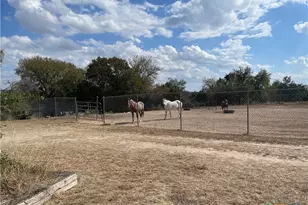 1286 Co Rd 3300, Kempner, TX 76539 - Photo 19