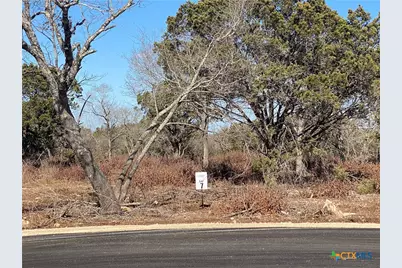 Lot 7 Sawtooth Drive, Bertram, TX 78605 - Photo 1