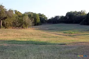 11445 Fm 1854, Dale, TX 78616 - Photo 9