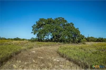 21123 Lamm Road, Elmendorf, TX 78112 - Photo 41