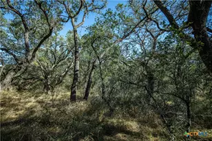 21123 Lamm Rd, Elmendorf, TX 78112 - Photo 37