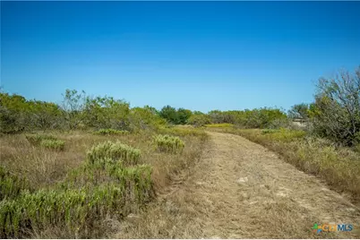 21123 Lamm Road, Elmendorf, TX 78112 - Photo 43