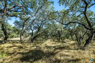 21123 Lamm Road, Elmendorf, TX 78112 - Photo 31