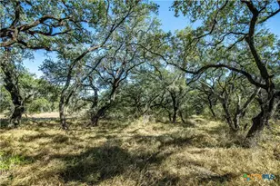 21123 Lamm Rd, Elmendorf, TX 78112 - Photo 31