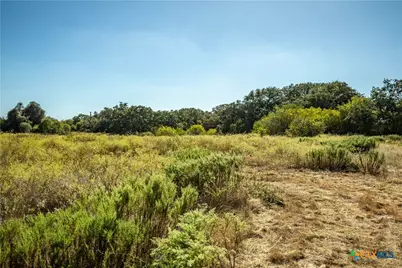 21123 Lamm Road, Elmendorf, TX 78112 - Photo 19