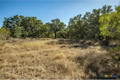 21123 Lamm Road, Elmendorf, TX 78112 - Photo 25