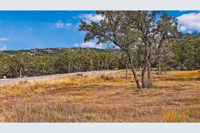 1949 Paradise Parkway, Canyon Lake, TX 78133 - Photo 3