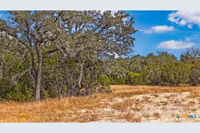 1949 Paradise Parkway, Canyon Lake, TX 78133 - Photo 1