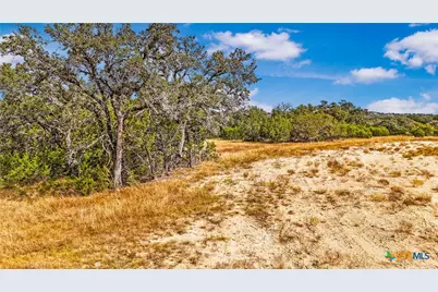 1949 Paradise Parkway, Canyon Lake, TX 78133 - Photo 5