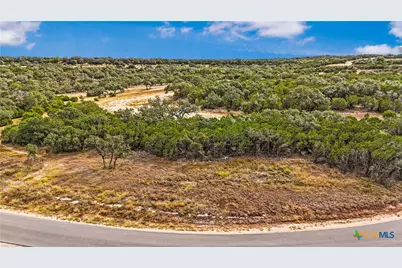 1949 Paradise Parkway, Canyon Lake, TX 78133 - Photo 7
