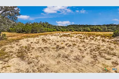 1949 Paradise Parkway, Canyon Lake, TX 78133 - Photo 9