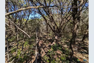 16023 & 16029 Brazos Drive, Temple, TX 76502 - Photo 3