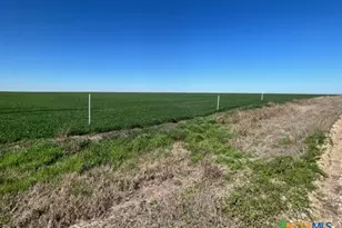 Tract 3 County Rd 355, Rosebud, TX 76519 - Photo 5