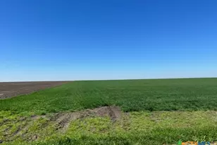 Tract 3 County Rd 355, Rosebud, TX 76519 - Photo 3