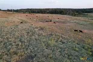 Tbd Tract 2 County Road 449, Thorndale, TX 76577 - Photo 7