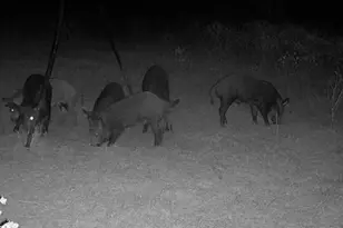 Tbd Us-90-Alt, Seguin, TX 78155 - Photo 25