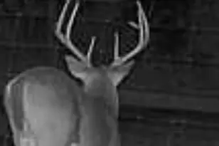 Tbd Us-90-Alt, Seguin, TX 78155 - Photo 21