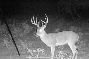 Tbd Us-90-Alt, Seguin, TX 78155 - Photo 23