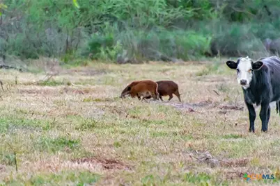 000 Smith Road, Victoria, TX 77905 - Photo 43