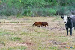 000 Smith Rd, Victoria, TX 77905 - Photo 43