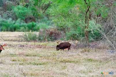 000 Smith Road, Victoria, TX 77905 - Photo 41