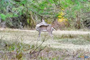 000 Smith Rd, Victoria, TX 77905 - Photo 39