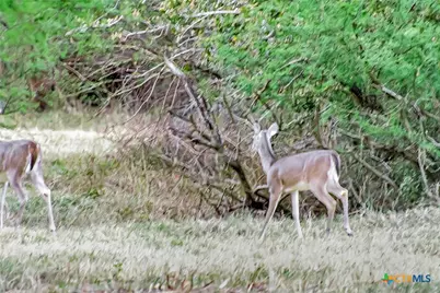 000 Smith Road, Victoria, TX 77905 - Photo 37