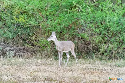 000 Smith Road, Victoria, TX 77905 - Photo 33