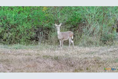 000 Smith Road, Victoria, TX 77905 - Photo 35