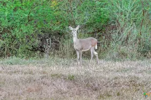 000 Smith Rd, Victoria, TX 77905 - Photo 35