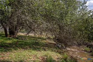 560 PR Goose Creek Ln, Jourdanton, TX 78026 - Photo 37